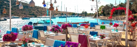Bodrum'da Ne Yenir & Bodrum En İyi Restoranlar ve Yemekler