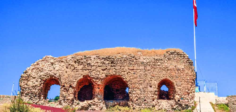 Artuklu Sarayı