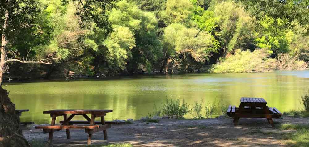 Karagöl Tabiat Parkı İzmir