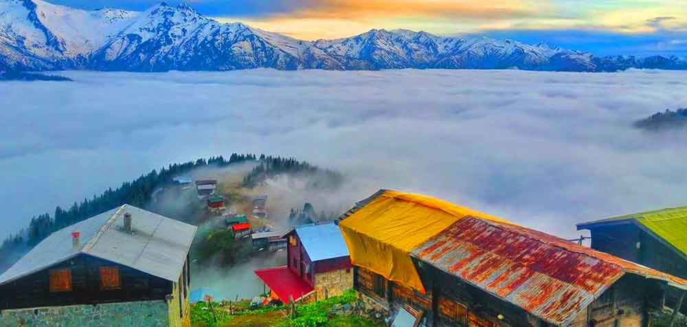 Pokut Yaylası